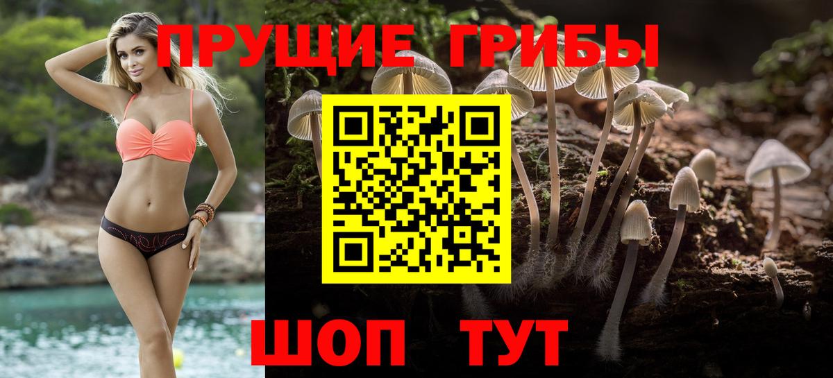Анжеро-Судженск  Галлюциногенные грибы Cubensis  Псилоцибиновые грибы ЛСД  Вход с VPN 